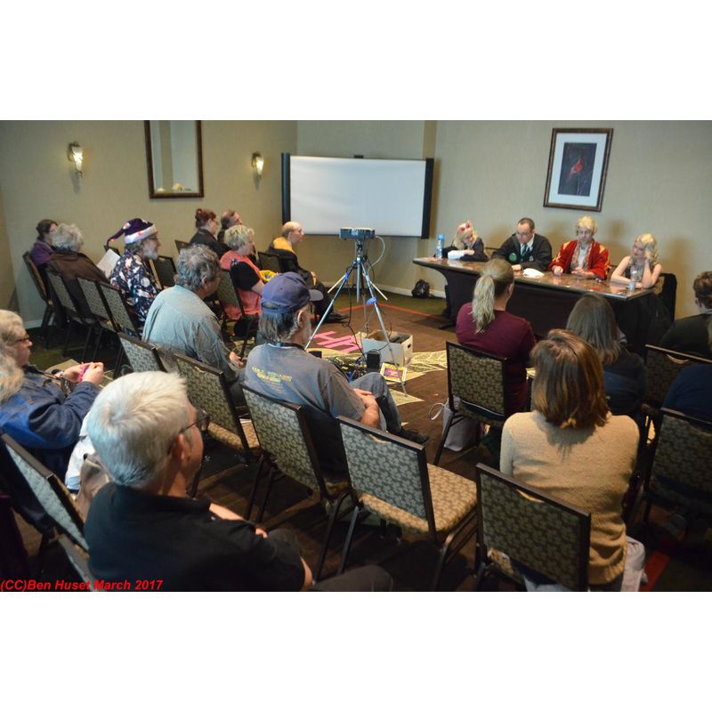 randomish MarsCon 2017 photo