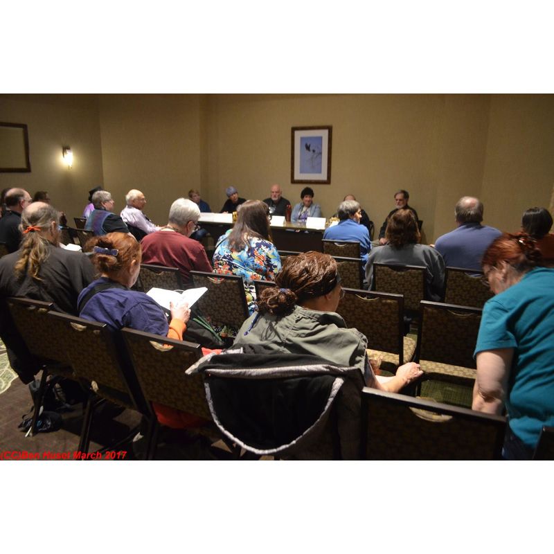 randomish MarsCon 2017 photo